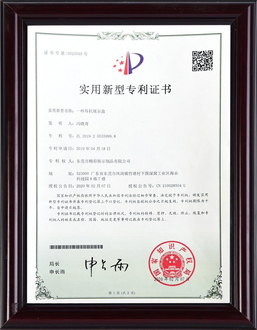 Certificate  Paten (8)